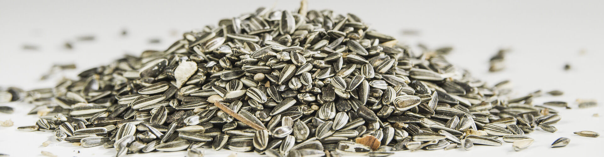 Biopolymerer Wertstoff